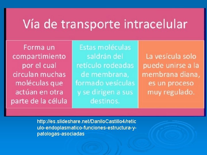 http: //es. slideshare. net/Danilo. Castillo 4/retic ulo-endoplasmatico-funciones-estructura-ypatologas-asociadas http: //es. slideshare. net/Danilo. Castillo 4/retic ulo-endoplasmatico-funciones-estructura-ypatologas-asociadas
