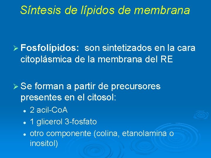 Síntesis de lípidos de membrana Ø Fosfolípidos: son sintetizados en la cara citoplásmica de Síntesis de lípidos de membrana Ø Fosfolípidos: son sintetizados en la cara citoplásmica de