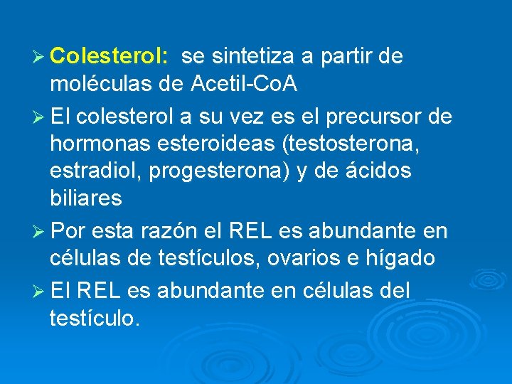 Ø Colesterol: se sintetiza a partir de moléculas de Acetil-Co. A Ø El colesterol Ø Colesterol: se sintetiza a partir de moléculas de Acetil-Co. A Ø El colesterol