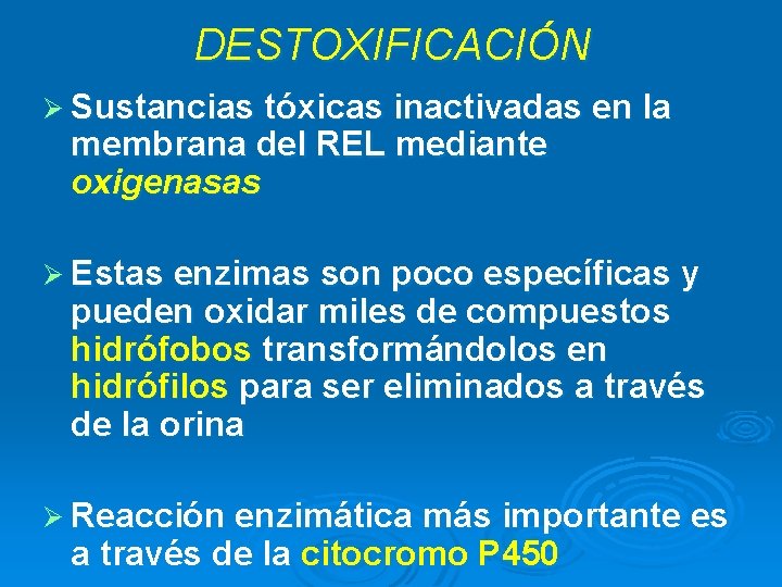 DESTOXIFICACIÓN Ø Sustancias tóxicas inactivadas en la membrana del REL mediante oxigenasas Ø Estas DESTOXIFICACIÓN Ø Sustancias tóxicas inactivadas en la membrana del REL mediante oxigenasas Ø Estas