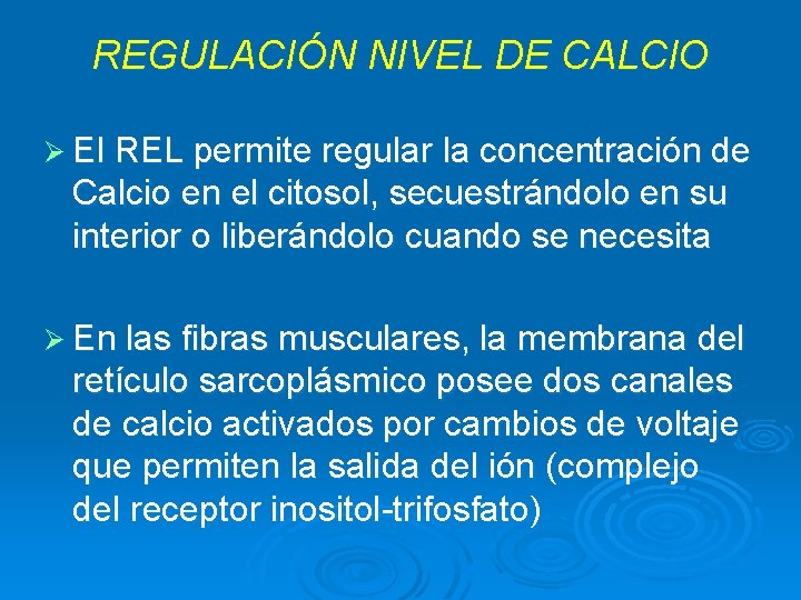 REGULACIÓN NIVEL DE CALCIO Ø El REL permite regular la concentración de Calcio en REGULACIÓN NIVEL DE CALCIO Ø El REL permite regular la concentración de Calcio en