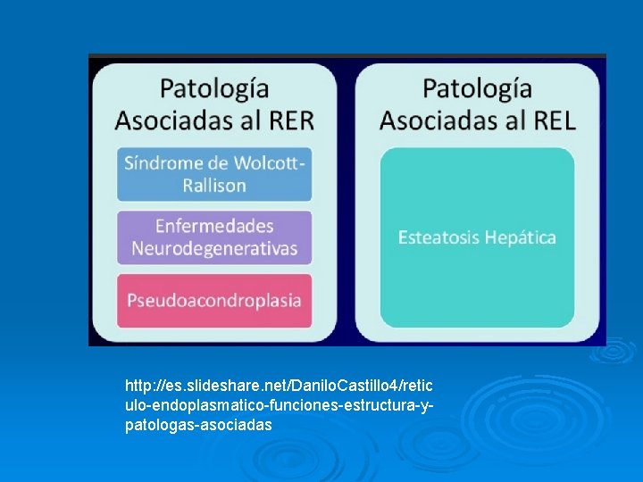 http: //es. slideshare. net/Danilo. Castillo 4/retic ulo-endoplasmatico-funciones-estructura-ypatologas-asociadas http: //es. slideshare. net/Danilo. Castillo 4/retic ulo-endoplasmatico-funciones-estructura-ypatologas-asociadas