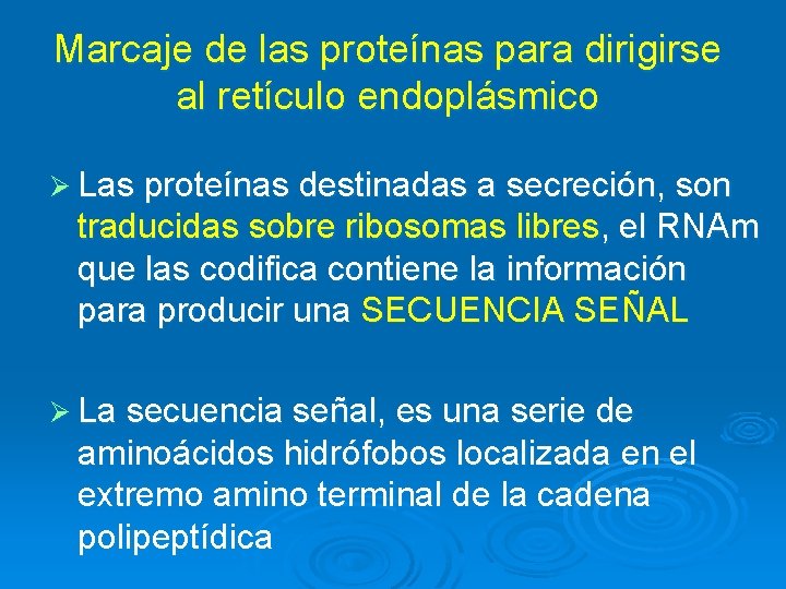 Marcaje de las proteínas para dirigirse al retículo endoplásmico Ø Las proteínas destinadas a Marcaje de las proteínas para dirigirse al retículo endoplásmico Ø Las proteínas destinadas a