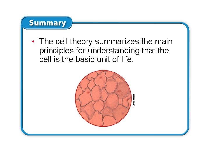 Getty Images • The cell theory summarizes the main principles for understanding that the Getty Images • The cell theory summarizes the main principles for understanding that the