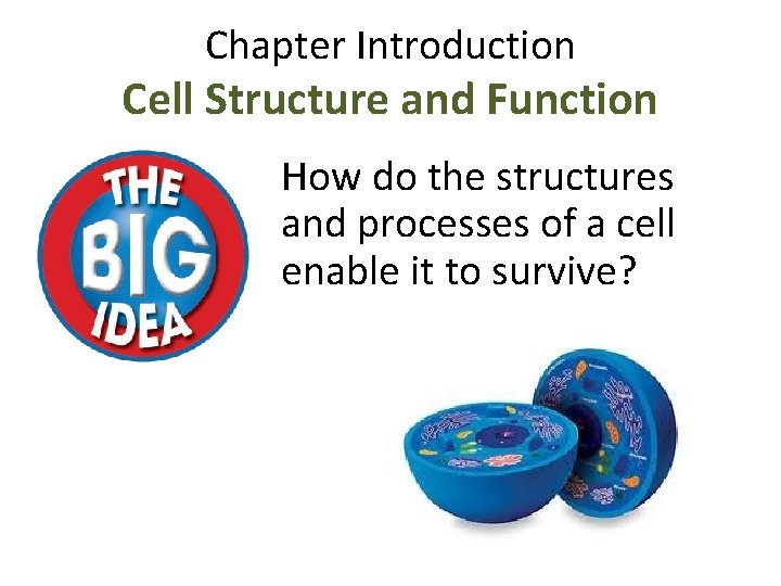 Chapter Introduction Cell Structure and Function How do the structures and processes of a Chapter Introduction Cell Structure and Function How do the structures and processes of a