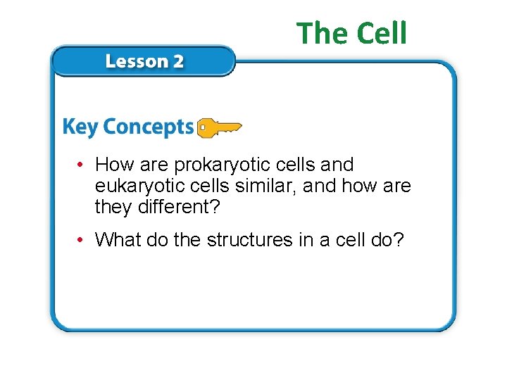 The Cell • How are prokaryotic cells and eukaryotic cells similar, and how are The Cell • How are prokaryotic cells and eukaryotic cells similar, and how are