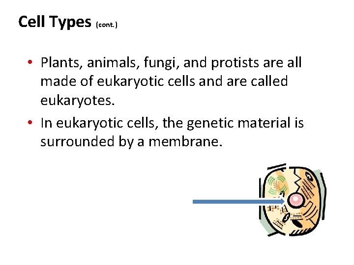 Cell Types (cont. ) • Plants, animals, fungi, and protists are all made of Cell Types (cont. ) • Plants, animals, fungi, and protists are all made of