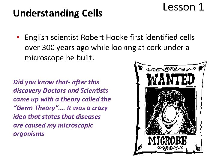 Understanding Cells Lesson 1 • English scientist Robert Hooke first identified cells over 300 Understanding Cells Lesson 1 • English scientist Robert Hooke first identified cells over 300