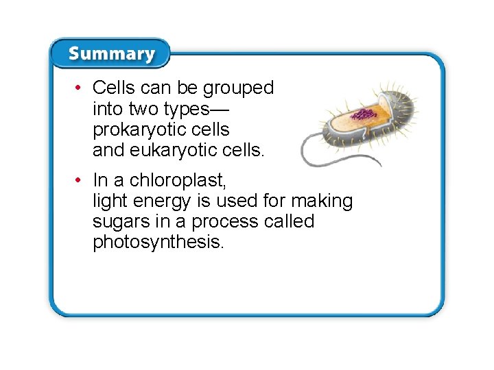 • Cells can be grouped into two types— prokaryotic cells and eukaryotic cells. • Cells can be grouped into two types— prokaryotic cells and eukaryotic cells.