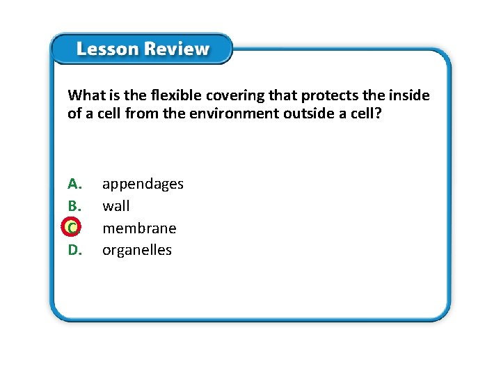 What is the flexible covering that protects the inside of a cell from the What is the flexible covering that protects the inside of a cell from the