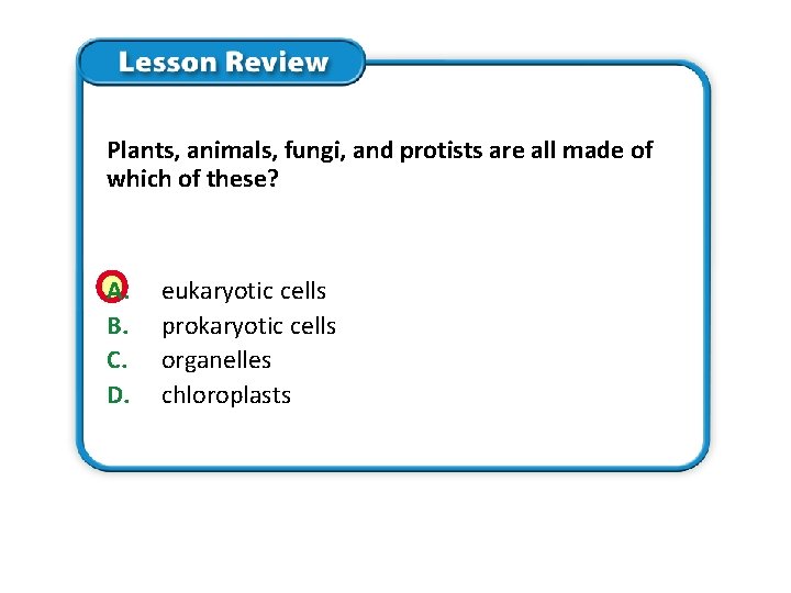 Plants, animals, fungi, and protists are all made of which of these? A. B. Plants, animals, fungi, and protists are all made of which of these? A. B.