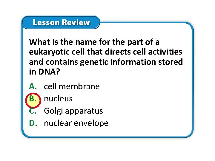 What is the name for the part of a eukaryotic cell that directs cell What is the name for the part of a eukaryotic cell that directs cell