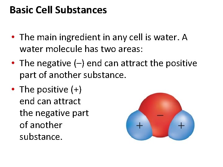 Basic Cell Substances • The main ingredient in any cell is water. A water Basic Cell Substances • The main ingredient in any cell is water. A water