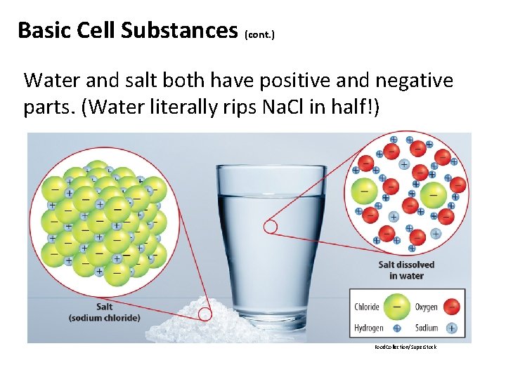 Basic Cell Substances (cont. ) Water and salt both have positive and negative parts. Basic Cell Substances (cont. ) Water and salt both have positive and negative parts.