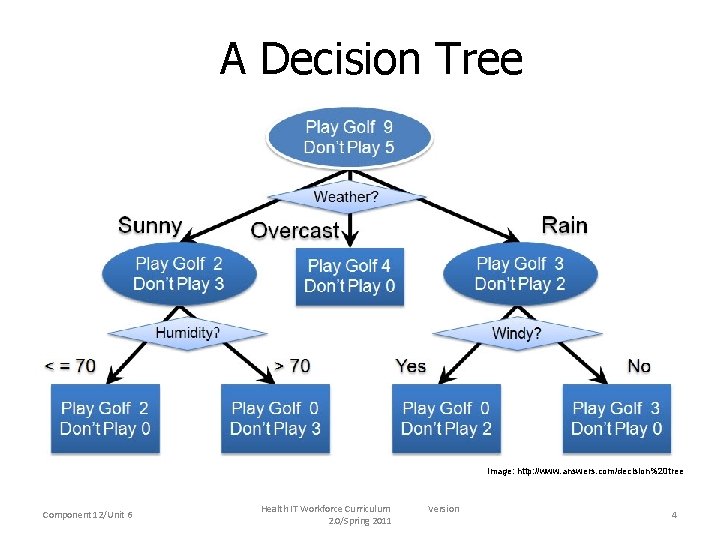 A Decision Tree Image: http: //www. answers. com/decision%20 tree Component 12/Unit 6 Health IT