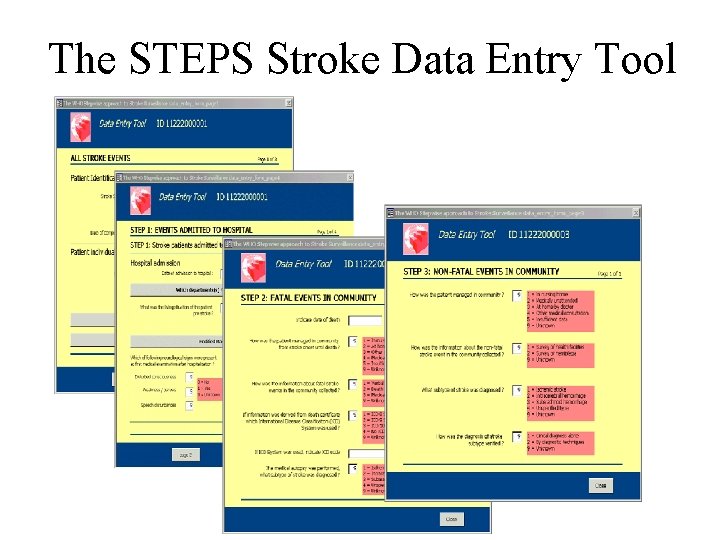 The STEPS Stroke Data Entry Tool 
