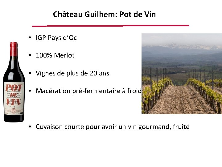 Château Guilhem: Pot de Vin • IGP Pays d’Oc • 100% Merlot • Vignes