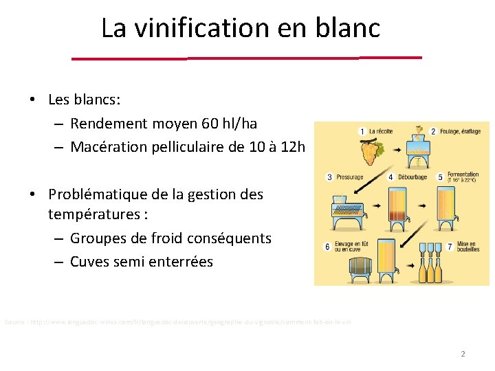 La vinification en blanc • Les blancs: – Rendement moyen 60 hl/ha – Macération