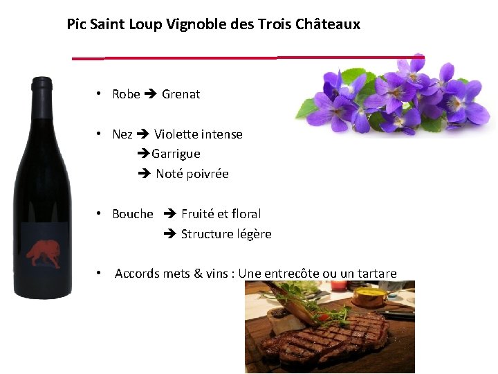Pic Saint Loup Vignoble des Trois Châteaux • Robe Grenat • Nez Violette intense