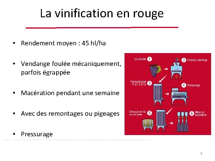 La vinification en rouge • Rendement moyen : 45 hl/ha • Vendange foulée mécaniquement,