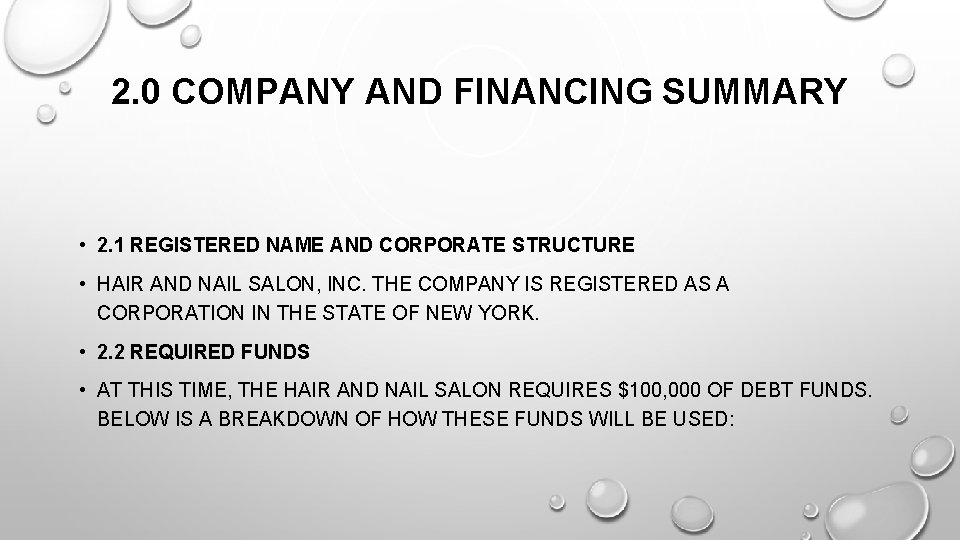 2. 0 COMPANY AND FINANCING SUMMARY • 2. 1 REGISTERED NAME AND CORPORATE STRUCTURE