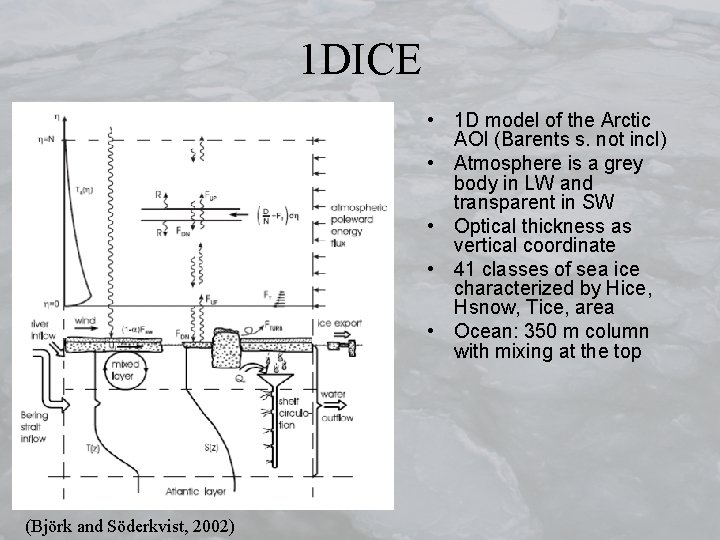 1 DICE • 1 D model of the Arctic AOI (Barents s. not incl)