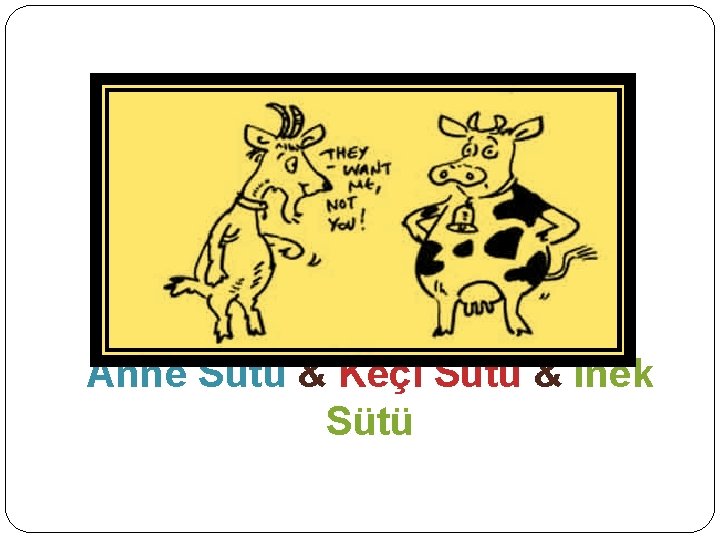 Anne Sütü & Keçi Sütü & İnek Sütü Anne Sütü & Keçi Sütü & İnek Sütü
