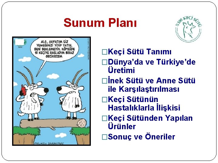 Sunum Planı �Keçi Sütü Tanımı �Dünya’da ve Türkiye’de Üretimi �İnek Sütü ve Anne Sütü Sunum Planı �Keçi Sütü Tanımı �Dünya’da ve Türkiye’de Üretimi �İnek Sütü ve Anne Sütü