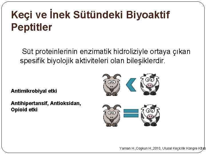 Keçi ve İnek Sütündeki Biyoaktif Peptitler Süt proteinlerinin enzimatik hidroliziyle ortaya çıkan spesifik biyolojik Keçi ve İnek Sütündeki Biyoaktif Peptitler Süt proteinlerinin enzimatik hidroliziyle ortaya çıkan spesifik biyolojik