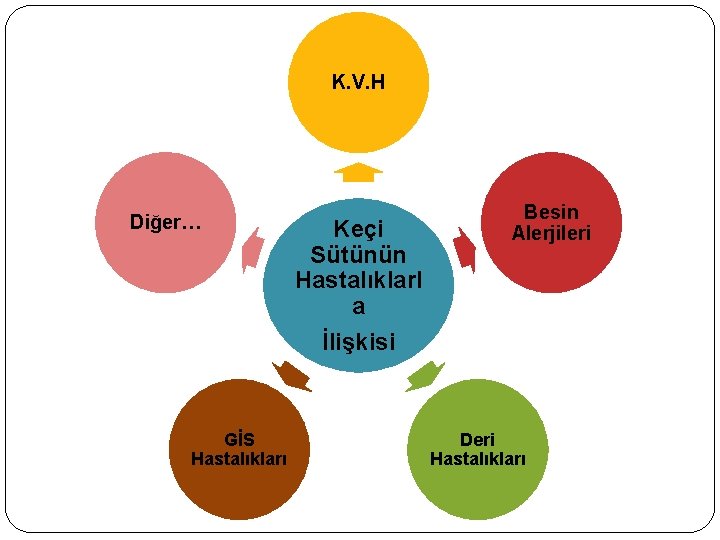 K. V. H Diğer… GİS Hastalıkları Keçi Sütünün Hastalıklarl a İlişkisi Besin Alerjileri Deri K. V. H Diğer… GİS Hastalıkları Keçi Sütünün Hastalıklarl a İlişkisi Besin Alerjileri Deri