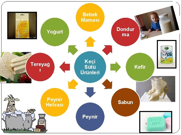 Bebek Maması Dondur ma Yoğurt Tereyağ ı Keçi Sütü Ürünleri Peynir Helvası Kefir Sabun Bebek Maması Dondur ma Yoğurt Tereyağ ı Keçi Sütü Ürünleri Peynir Helvası Kefir Sabun