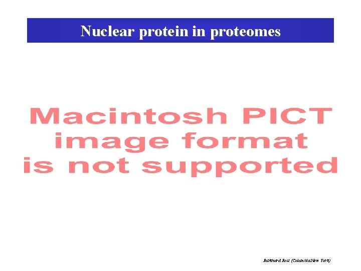 Nuclear protein in proteomes Burkhard Rost (Columbia New York) 