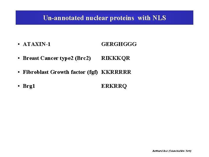 Un-annotated nuclear proteins with NLS • ATAXIN-1 GERGHGGG • Breast Cancer type 2 (Brc