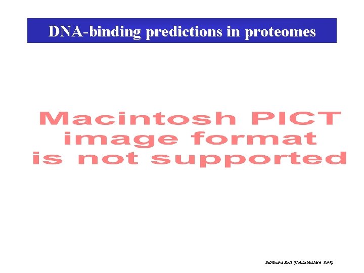 DNA-binding predictions in proteomes Burkhard Rost (Columbia New York) 