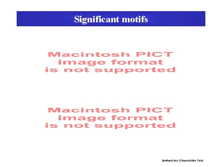 Significant motifs Burkhard Rost (Columbia New York) 