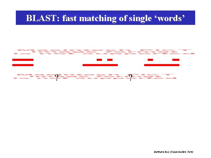 BLAST: fast matching of single ‘words’ ? ? Burkhard Rost (Columbia New York) 