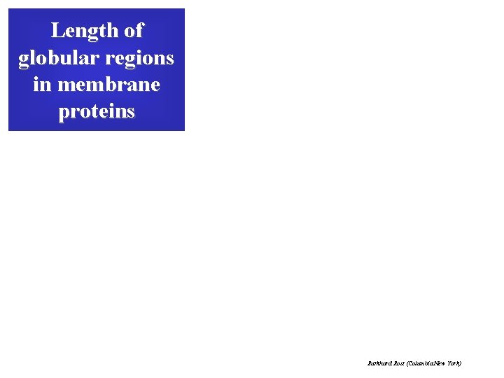 Length of globular regions in membrane proteins Burkhard Rost (Columbia New York) 