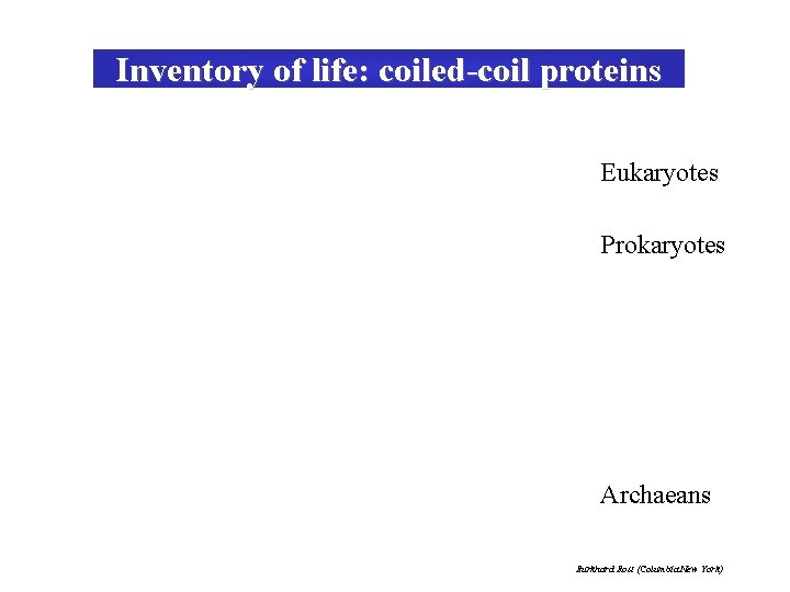 Inventory of life: coiled-coil proteins Eukaryotes Prokaryotes Archaeans Burkhard Rost (Columbia New York) 