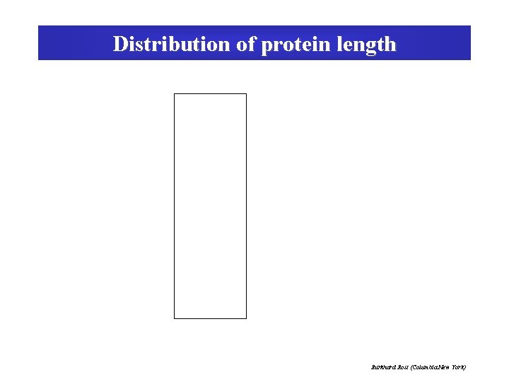 Distribution of protein length Burkhard Rost (Columbia New York) 