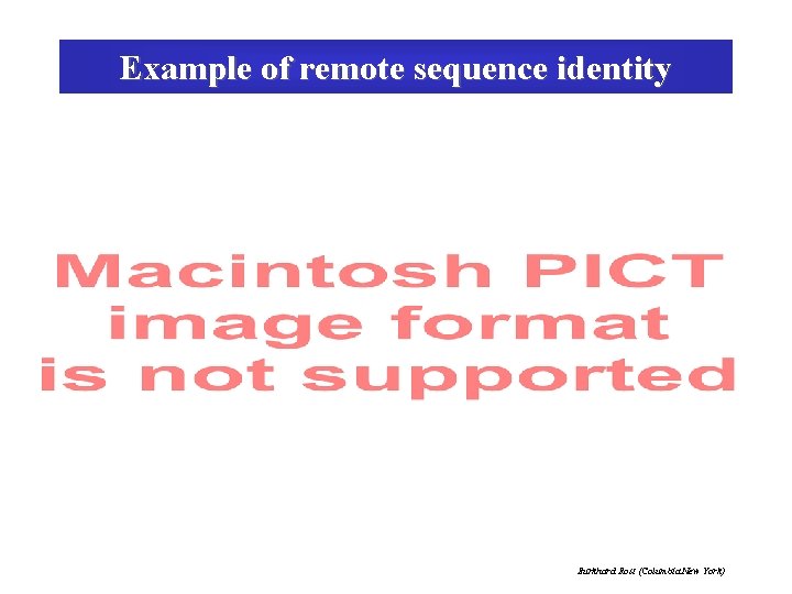 Example of remote sequence identity Burkhard Rost (Columbia New York) 
