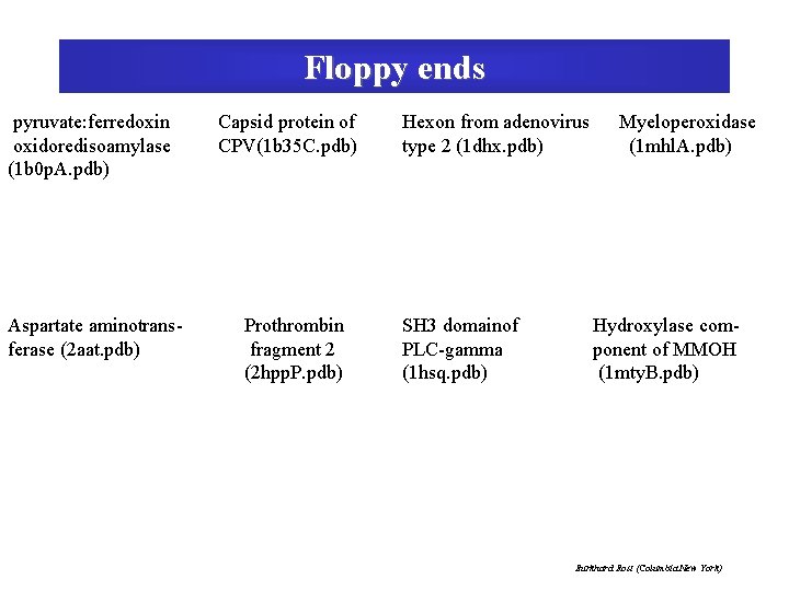Floppy ends pyruvate: ferredoxin oxidoredisoamylase (1 b 0 p. A. pdb) Aspartate aminotransferase (2