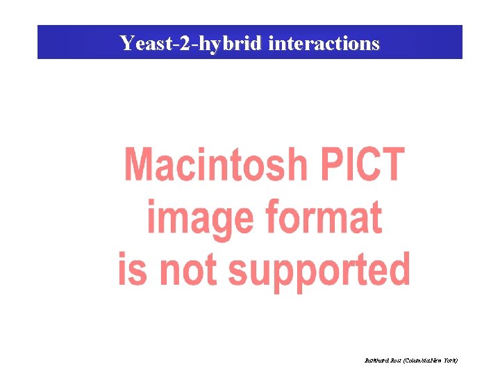 Yeast-2 -hybrid interactions Burkhard Rost (Columbia New York) 