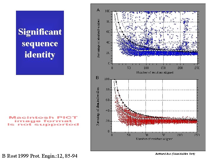 Significant sequence identity B Rost 1999 Prot. Engin. : 12, 85 -94 Burkhard Rost