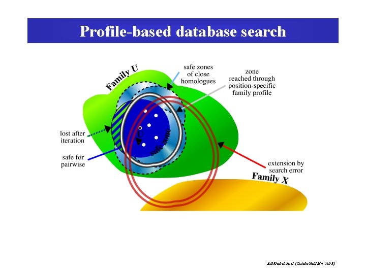 Profile-based database search Burkhard Rost (Columbia New York) 