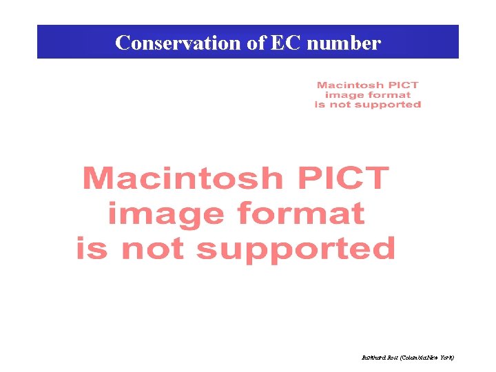 Conservation of EC number Burkhard Rost (Columbia New York) 