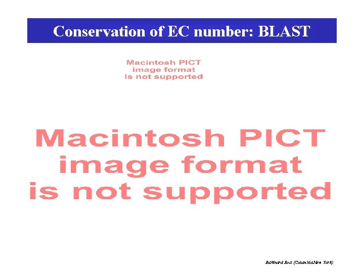 Conservation of EC number: BLAST Burkhard Rost (Columbia New York) 