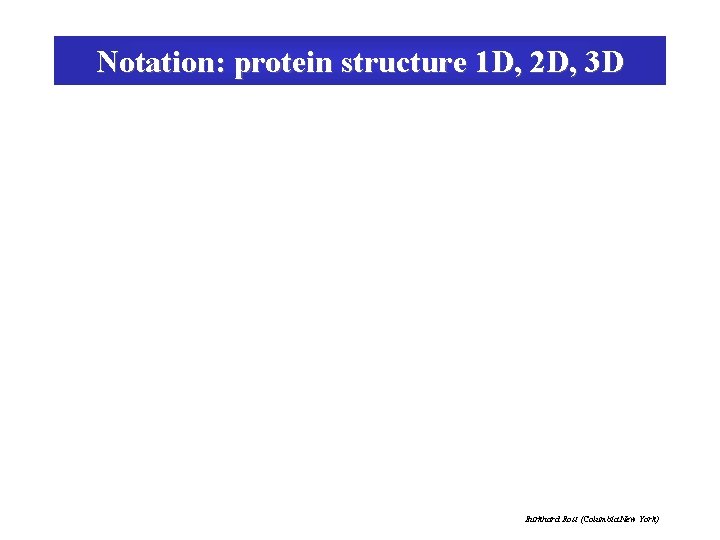 Notation: protein structure 1 D, 2 D, 3 D Burkhard Rost (Columbia New York)