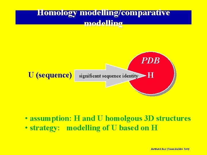 Homology modelling/comparative modelling PDB U (sequence) significant sequence identity H • assumption: H and