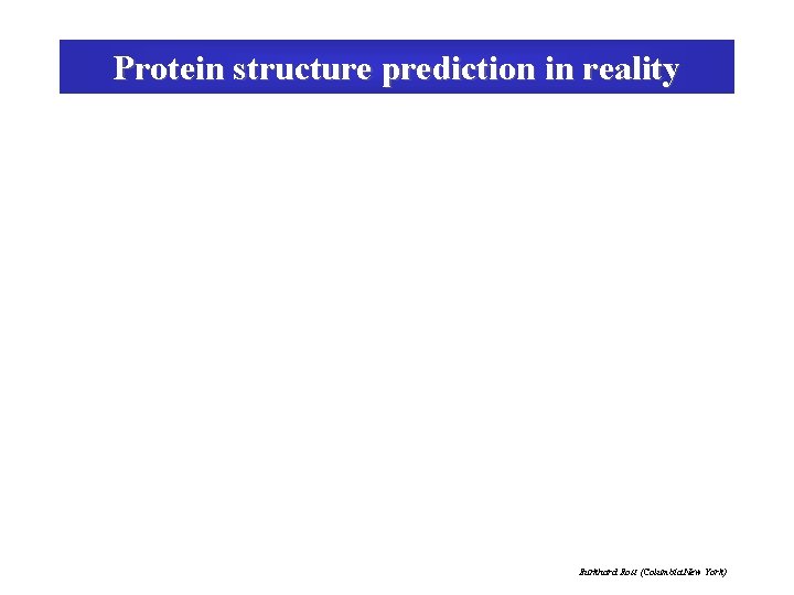 Protein structure prediction in reality 3 D 1 D Ho. Mo Fo. Rc Burkhard