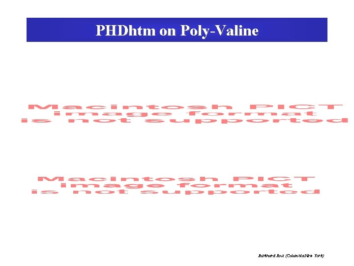PHDhtm on Poly-Valine Burkhard Rost (Columbia New York) 